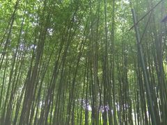 -竹泉村旅游度假区