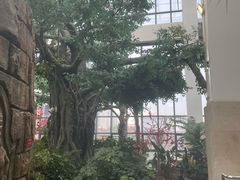 -悦隆庄温泉度假酒店