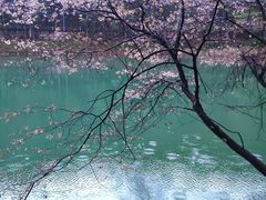 -缙云山景区