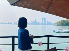 -金鸡湖桃花岛