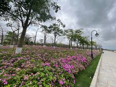 -芒洲湿地公园