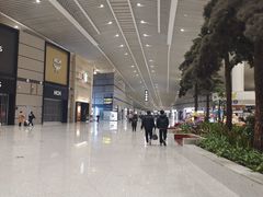 -青岛胶东国际机场
