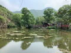 -双新垂钓园