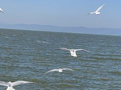 -呈贡滇池生态湿地公园