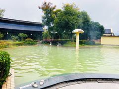 -三江森林温泉度假区