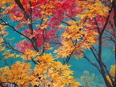 -叠溪松坪沟景区