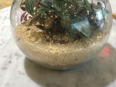 -宝珠奶酪(浦东金桥店)