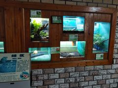 -上海大自然野生昆虫馆(东方明珠·爬宠昆虫探索中心)