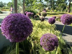 -上海植物园-4号门售票处