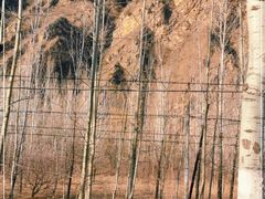 -百里山水画廊乌龙峡谷