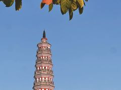 -顺峰山公园