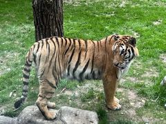 -北京野生动物园