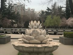 -木塔寺遗址生态公园