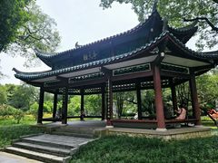 -柳侯公园