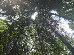 -贵州省植物园
