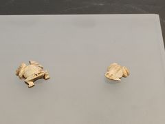 -盘龙城遗址博物院