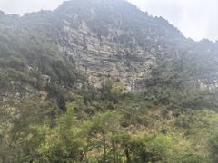 -明仕田园