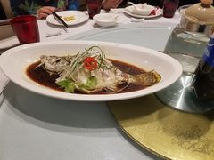 -丰收日(五角场店)