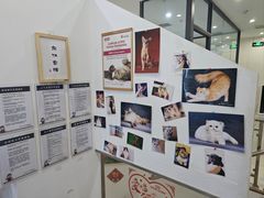 -萌兽医馆·眼科·异宠专科(三里屯店)