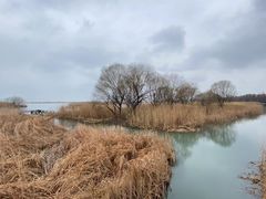 -苏州太湖湖滨国家湿地公园