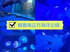 -顺德南宏海立方海洋公园