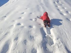 -沈阳奥体冰雪嘉年华