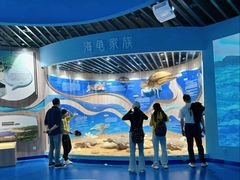 -广东惠东海龟国家级自然保护区