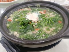 上汤桑叶-姚林轩
