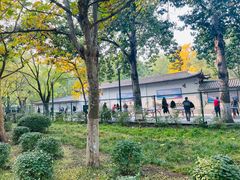 -莲花池公园