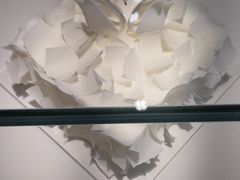 -BLACKSWAN黑天鹅(环球店)