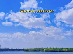 -丁香湖公园