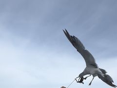 -海驴岛(荣成市)