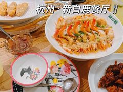 -新白鹿餐厅(滨江银泰店)