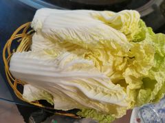 大白菜-姥家大锅台水库渔家