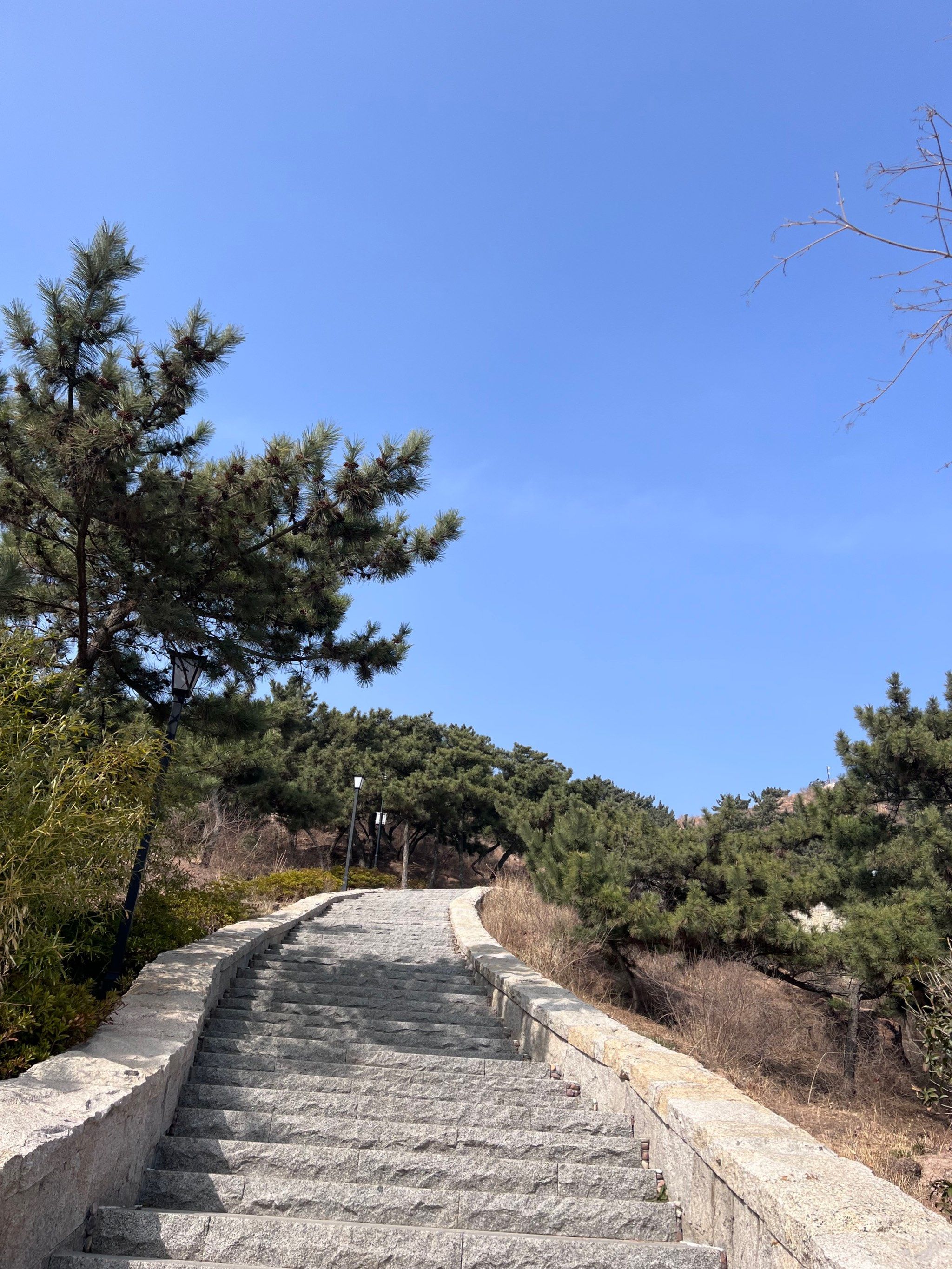 老虎山公园