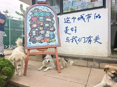 -养马岛旅游度假区