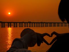 -宝安西湾红树林湿地公园