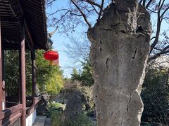 -上海醉白池公园