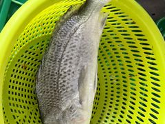 -第一家鲜鱼汤清真老饭店(回新路店)