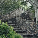 南山南，看妈湾