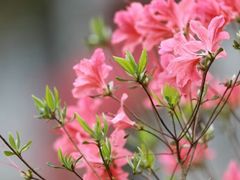 -天台山赤城山景区