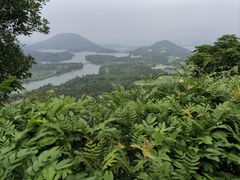 -凤凰山公园-龙王古庙