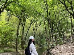 -楠溪江风景名胜区