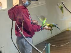 -上海大自然野生昆虫馆(东方明珠·爬宠昆虫探索中心)