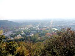 psb(4)-上海佘山国家森林公园西佘山园