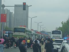 -曹州牡丹园