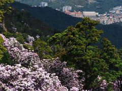 -梧桐山风景名胜区