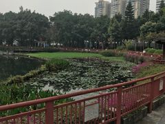 -荔湾湖公园
