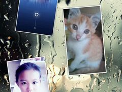 android_upload_pic-临沂华盛江泉城大酒店