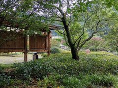 -太湖源风景区